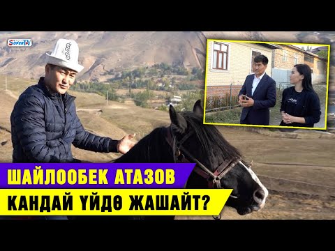 Video: Үйдө кулак