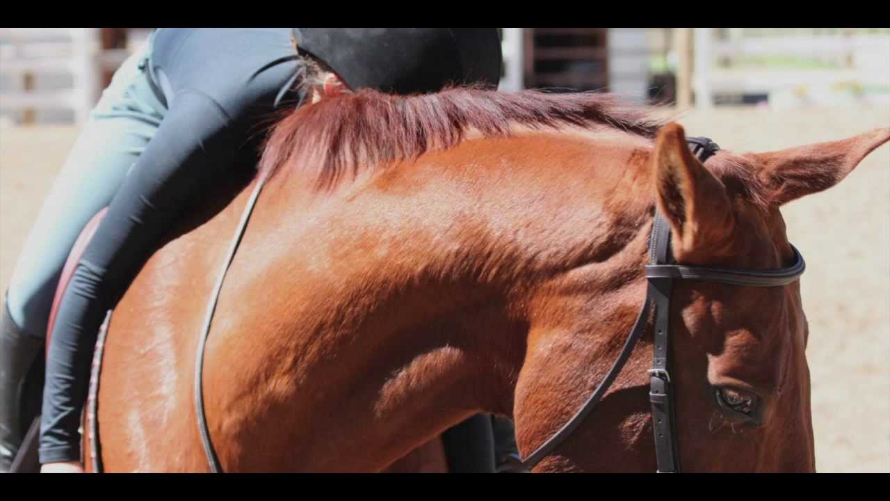 you're my excuse to travel (spencer!)