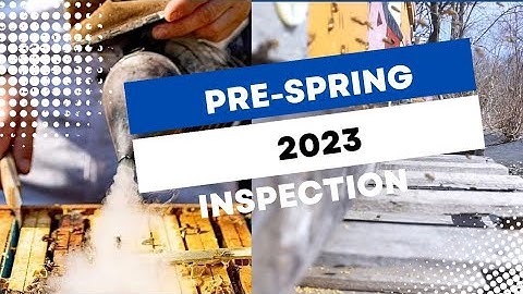 First Hive Check 2023 Pre-Spring Inspection