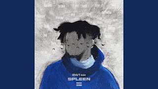 Spleen