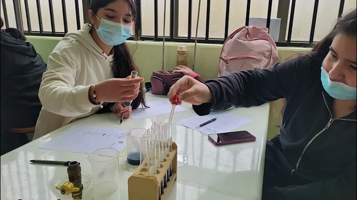 Video Escuela Helene Lang 2022