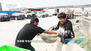 《消费主张》 20251017 皮皮虾上市，鲜甜肥美正当时！ |  财经风云