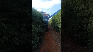 COLHEDEIRA DE CAFÉ #agro #agricultura #fazenda #agronomia