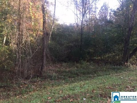 62 CREEKWOOD DR 3, Clanton, AL home video tour