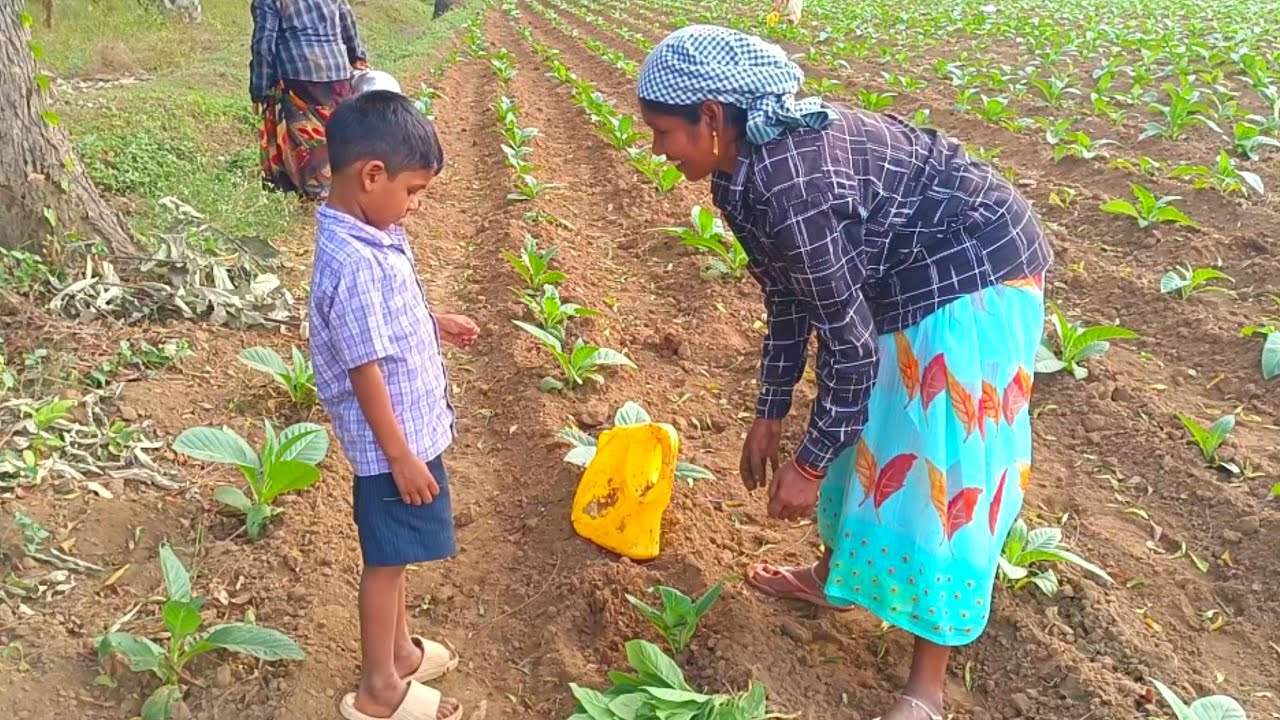 ఆదిత్య వాళ్ళ అమ్మలా పని చేస్తాడు అంటా