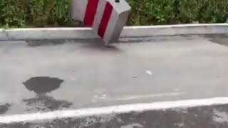 | 9GAG | Mantis from Kung Fu Panda