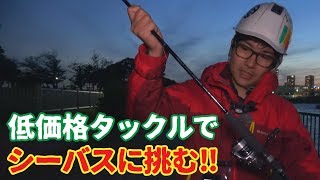 １万円で買い揃えたシーバスタックルを実践で使ってみた！