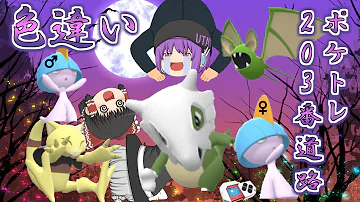 検証 解説 ポケトレなら色違いを0 5 で簡単ゲットできる 何時間かかる ポケモン ダイヤモンド パール Dpt Mp3 検証 解説 ポケトレなら色違いを0 5 で簡単ゲットできる 何時間かかる ポケモン ダイヤモンド パール Dpt Mp3