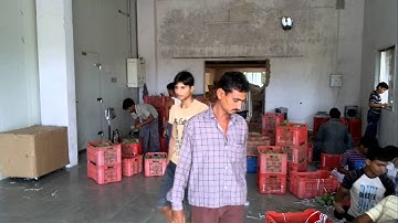 Mango Grading & Packing.mp4