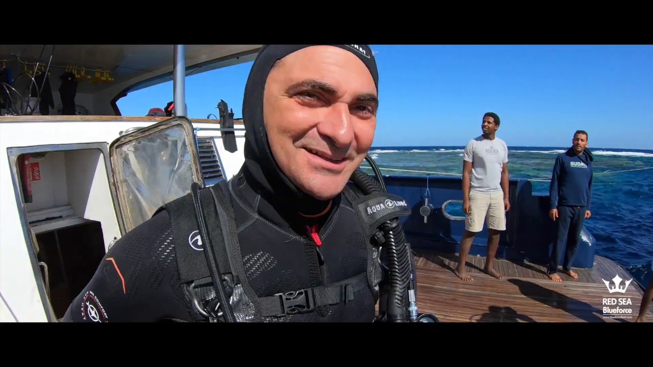 Diving in Egypt - BDE Route - Liveaboard week 20191123