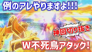 【神回切り抜き】SHO∞の隣で謝罪しながら胡蝶剣をぶっぱしまくる狂人長田がたどり着いた果てはトラバとのダブル覚醒技ぶっぱであった