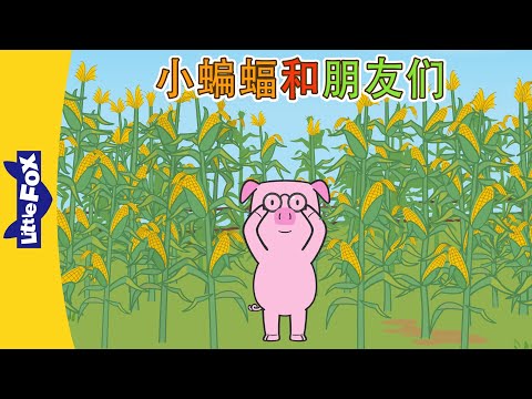Bat and Friends Episodes 22-24 | Chinese Animation | Easy Chinese | Little Fox Chinese