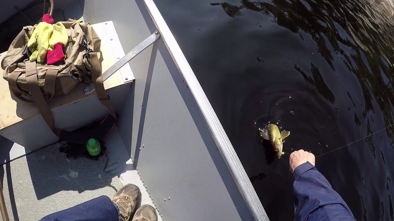 Fishing Harrop Lake Day 3 20190526 YouTube
