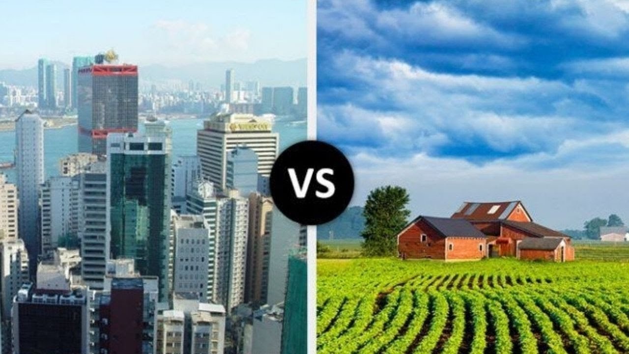 Living in city or countryside. Город vs деревня. City Town Village Country разница. City or Town разница. Город против деревни.