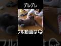 デレデレ