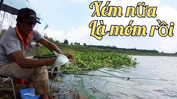 Câu cá miền quê | trở lại đập Sông Ray và cái kết