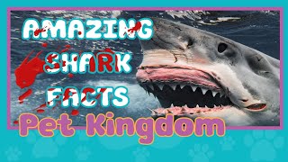 These BRUTAL Animals Can Sense Their Prey's Heartbeat🦈 - Top 10 Amazing Shark Facts by Pet Kingdom 42 views 1 year ago 4 minutes, 3 seconds