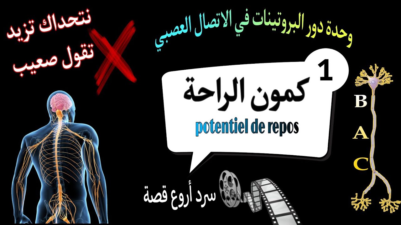🔥ملخص شامل حول كمون الراحة |بكالوريا| من وحدة الاتصال العصبي📢اعرف أسراره كاملة😉