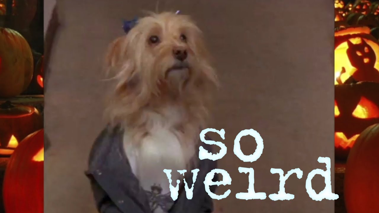 So Weird S2 Ep23: Shelter