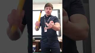 2 Rain Forest Performance Task lesson