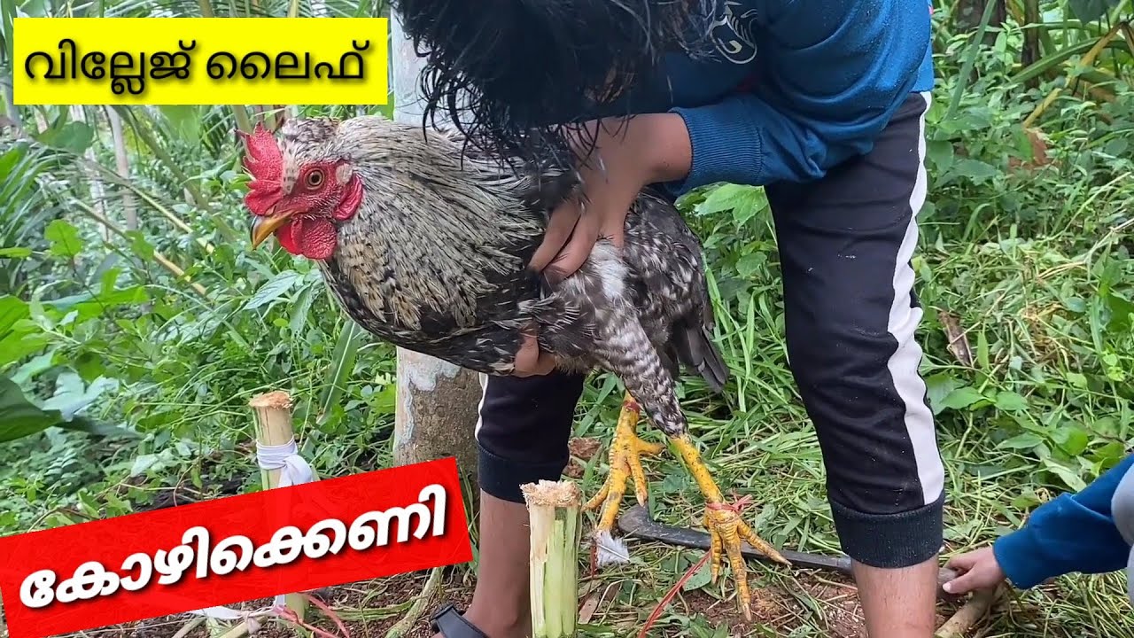 Kids Life Full Movie | Village Life | Kids Natural Life | Kids Camping