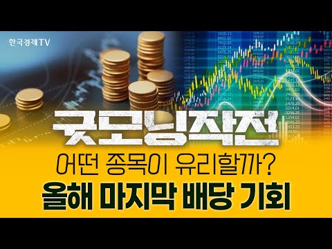 "찬 바람 불 땐 배당주" 분리과세 기대 확산... 연말 강세 이끌까? | 굿모닝작전_251226