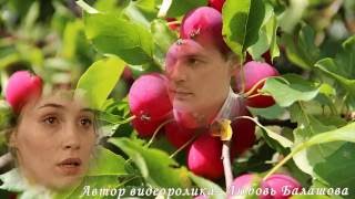Яблочный рай