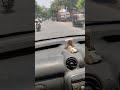 Gorakhpur to Deoria travel by Car#excavator #nature #shorts #bhojpuri song#viral