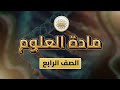 الصف4 العلوم الوحدة5 الدرس31 كيف تتغير الصخور ص 45 50