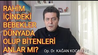 RAHİM İÇİNDE BEBEK DOĞACAĞI DÜNYADA OLUP BİTENİ NASIL ANLAR? ANNE ADAYI AÇ KALIRSA BEBEĞİNE NE OLUR?