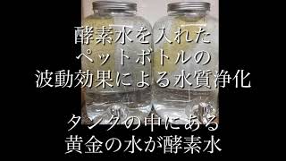 酵素水（重力水）の波動が水革命を起こす！池、河川、湾、浄化槽などの水質を浄化することが可能。