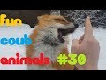 FUN coub animals #30 / видео приколы / coub 2019 / животные / смешные животные / приколы 2019 / cube