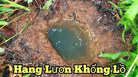 Gigantische slootpalinggrot_Vol met gigantische palinggrotten_Mijn oksels doen weer pijn_afleveri...