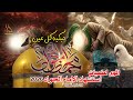 اقوى لطمية ذكرى استشهاد الامام الجواد 29 ذو القعدة تبكيه كل عين محمد الجواد عدنان الوائلي 2026 