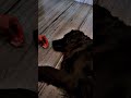Lazyjullo Kalo ЁЯШВЁЯШВ Lazyjullo Kalo ЁЯШВЁЯШВ
