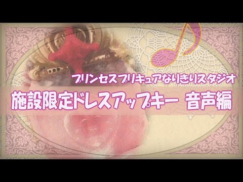 Go プリンセスプリキュア プリキュアなりきりスタジオ 施設限定変身ドレスアップキー 音声編 Princess PreCure DressUpKey LE Sound