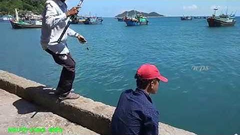 Câu Cá Dìa Vào Ngày Nắng Biển Trời Cảng Vân Phong Đẹp Tuyệt Vời | NGƯỜI VÙNG BIỂN