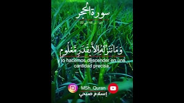 سورة الحجر الاية 19 الى 22 للقارئ اسلام صبحي
