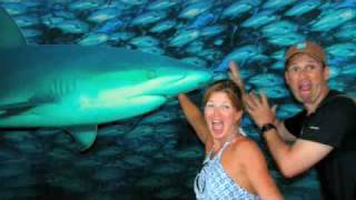 S/V Honeymoon in the Galapagos (Ep9)