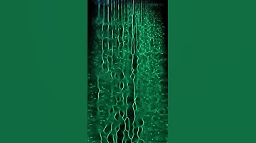 Check out the most relaxing templates on doodooc.com 🧘‍♀️ | Infraction - Gray Clouds 🎶