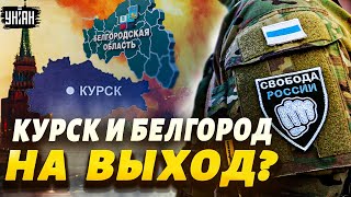 Россия трещит по швам! В Курске начался референдум, срочное обращение РДК - Яковенко