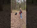 SpringDogDays - Neue-Wege-Walk #hundebeschäftigung #hundetraining #lebenmithund #dogtraining
