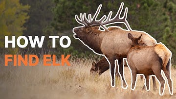 HOW TO FIND ELK