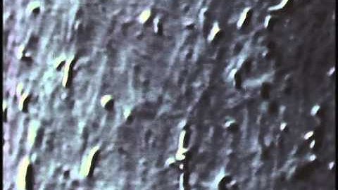 Whole Axoplasm - Transport of membranes inside of a squid giant axon