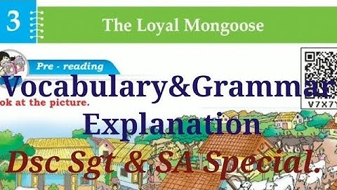 3rd class English. The loyal Mongoose. Grammar and vocabulary.