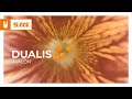 DUALIS - Avalon [Melodic House | Remake]