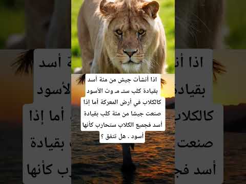 اذا أنشأت جيش من مئة أسد بقيادة كلب ستموت الأسود كالكلاب في أرض المعركة أما إذا صنعت جيشا