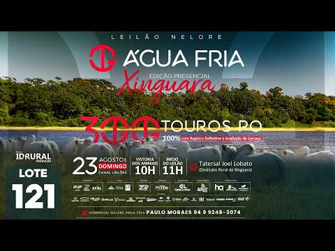LOTE 121
