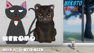 「 NEKOTO 」 01