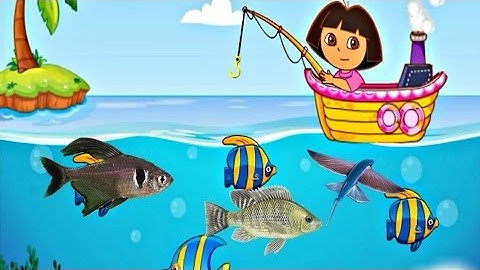 Dạy bé học nói về các loài vật - Học nói về các loại cá nước ngọt - Phần 5